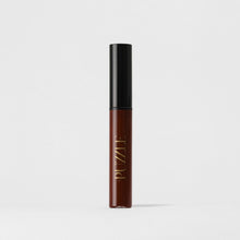 Lip Gloss Wand